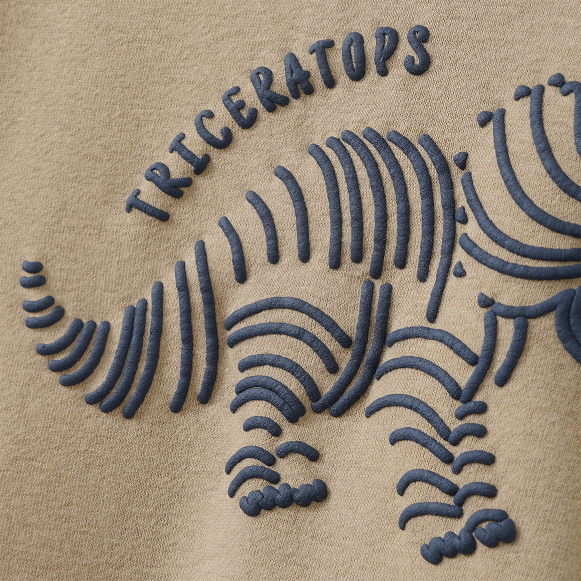 Jungen Sweatshirt mit Dino-Motiv