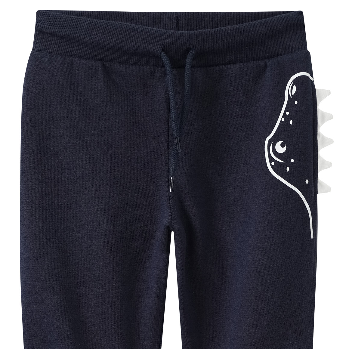 Jungen Jogginghose mit Dino-Print