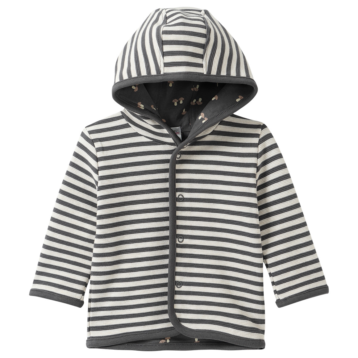 Baby Set aus Jacke, Body und Hose