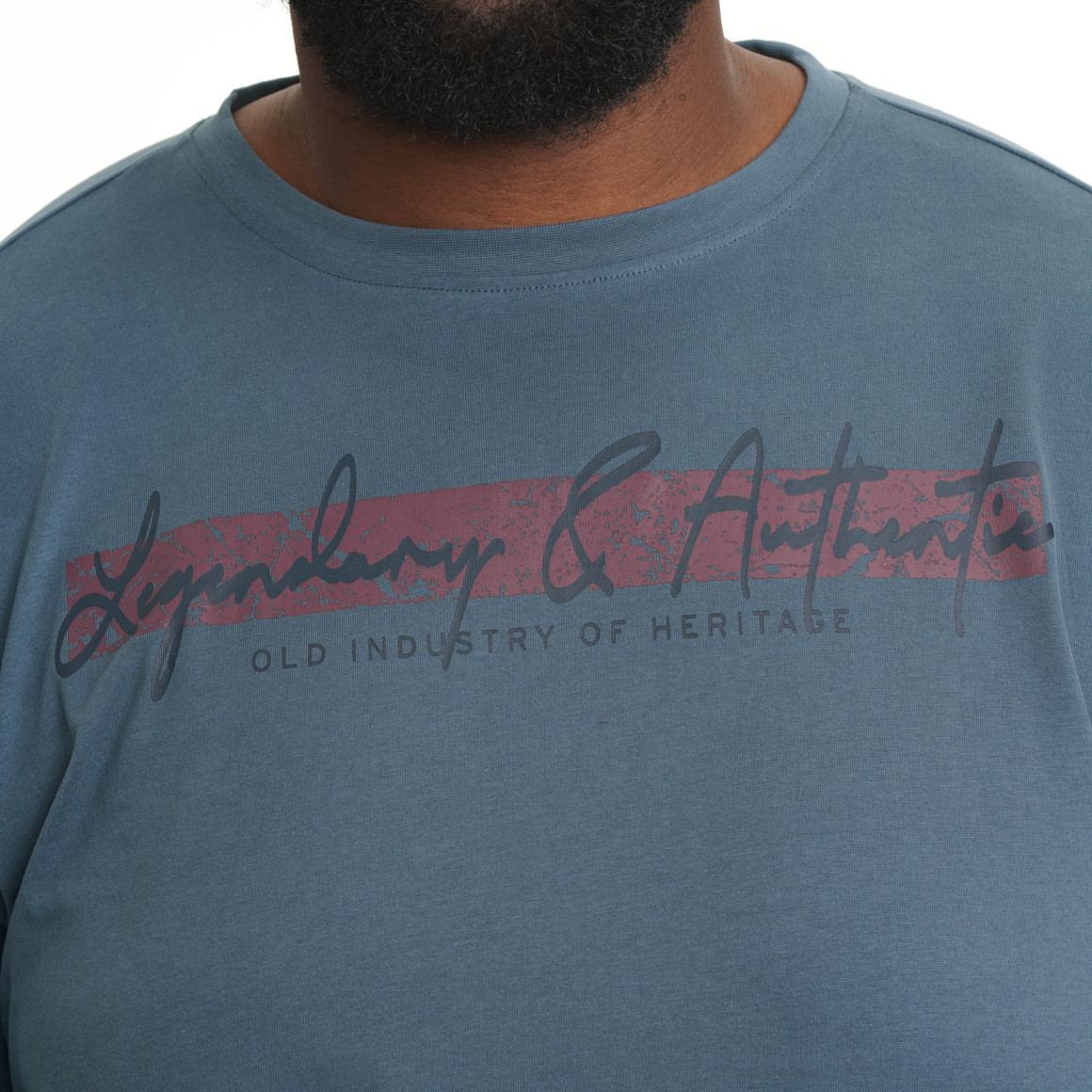 Herren-T-Shirt mit großem Print