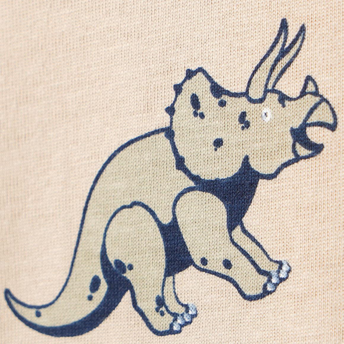 Jungen Langarmshirt mit Dino-Motiven
