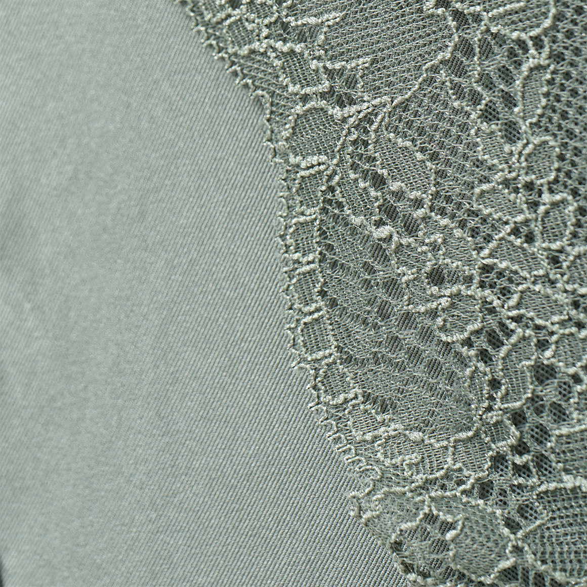 2 dames microvezelslips met kant