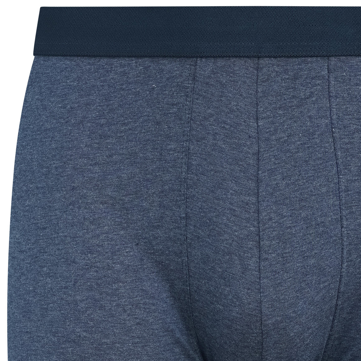 Heren retro shorts met biokatoen