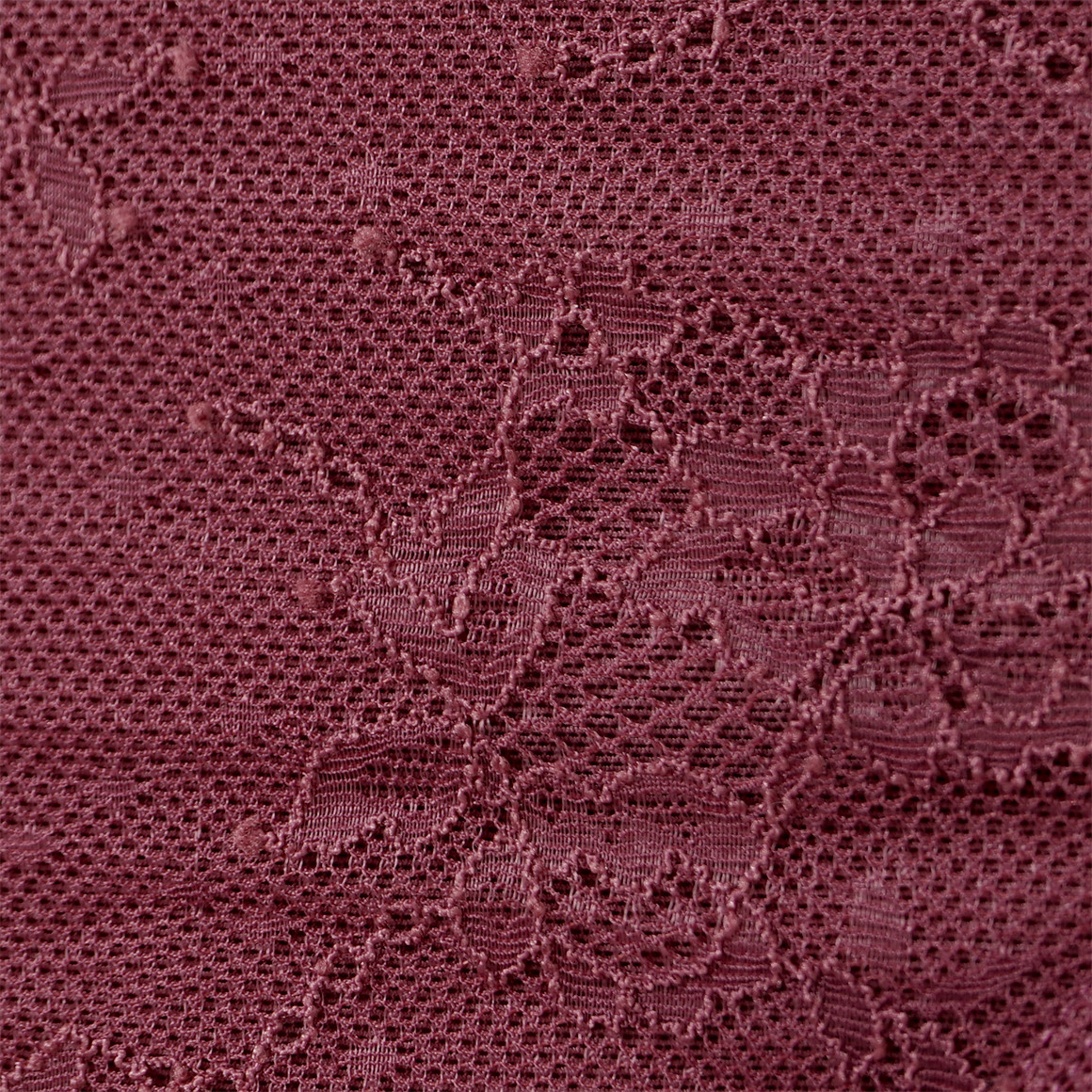 Damen Slip mit Spitze