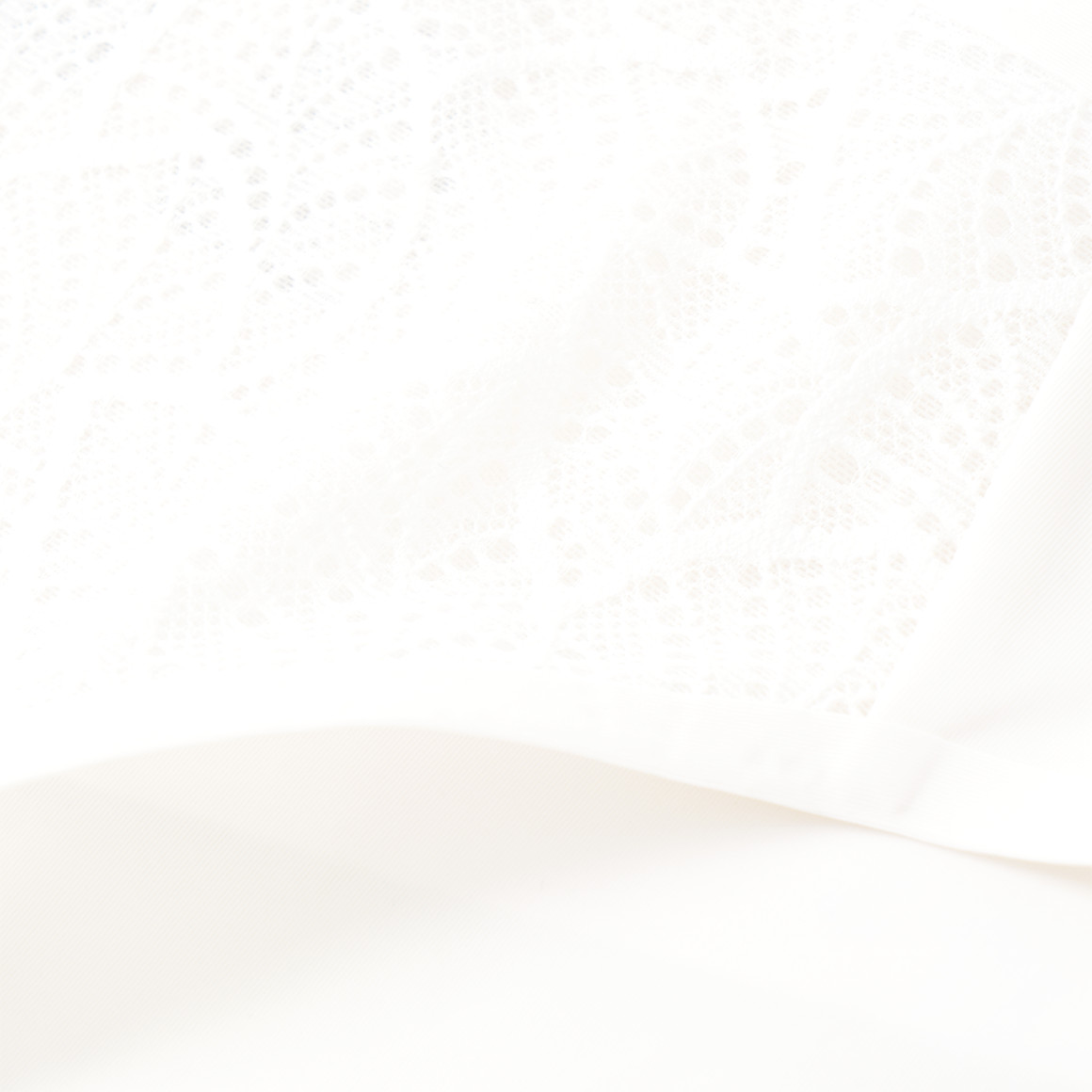 Damen Slip mit Spitze