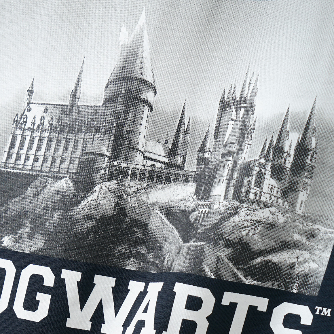 Harry Potter shirt met lange mouwen en print