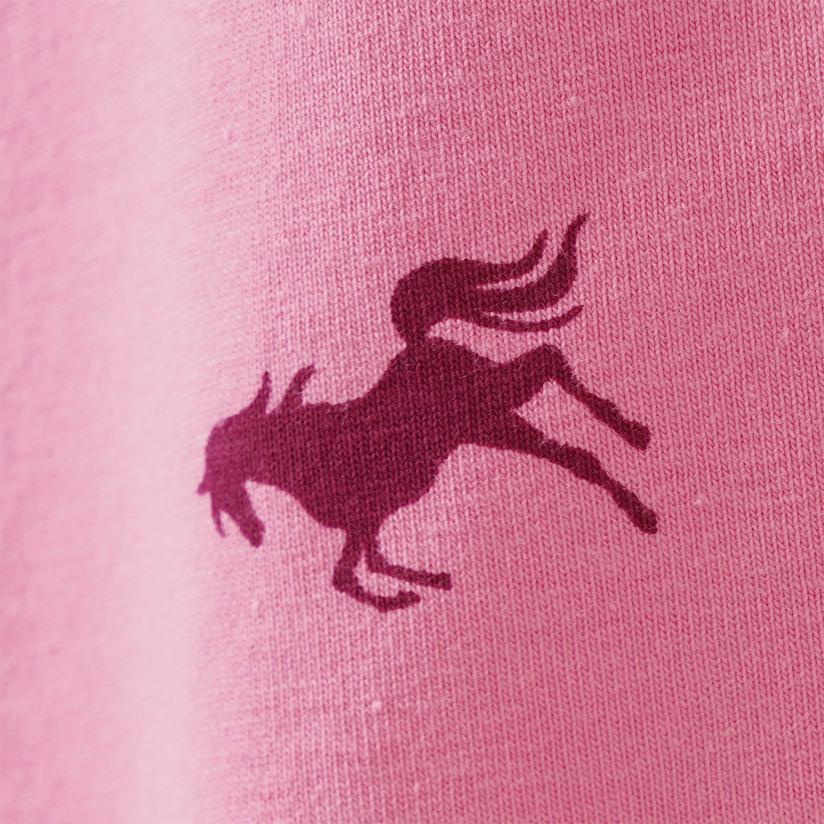Mädchen Langarmshirt mit Pferde-Prints