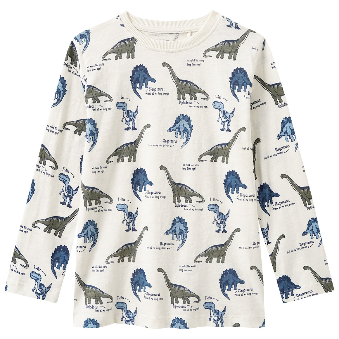 Jungen Langarmshirt mit Dino-Allover