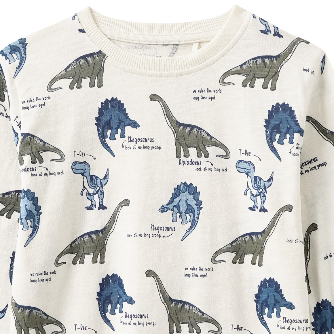 Jungen Langarmshirt mit Dino-Allover