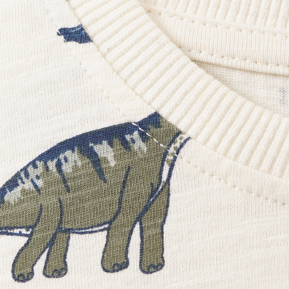 Jungen Langarmshirt mit Dino-Allover