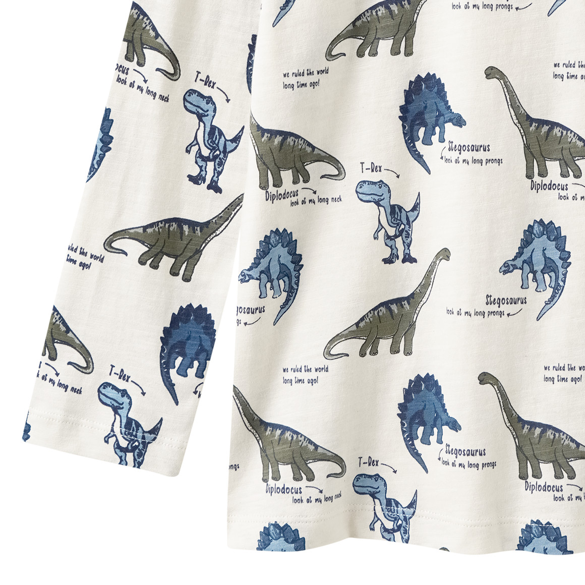 Jungen Langarmshirt mit Dino-Allover
