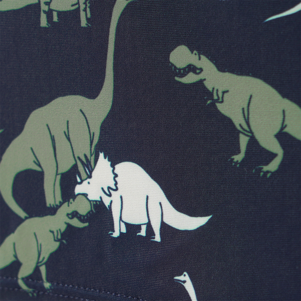 Jungen Badehose mit Dinos allover