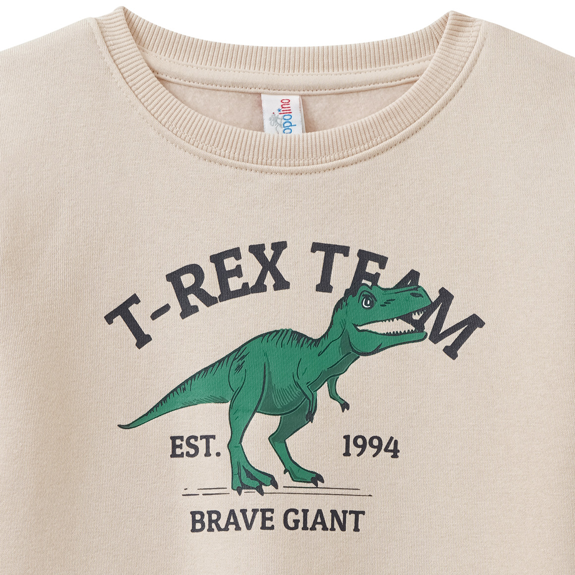 Jungen Sweatshirt mit Dino-Print
