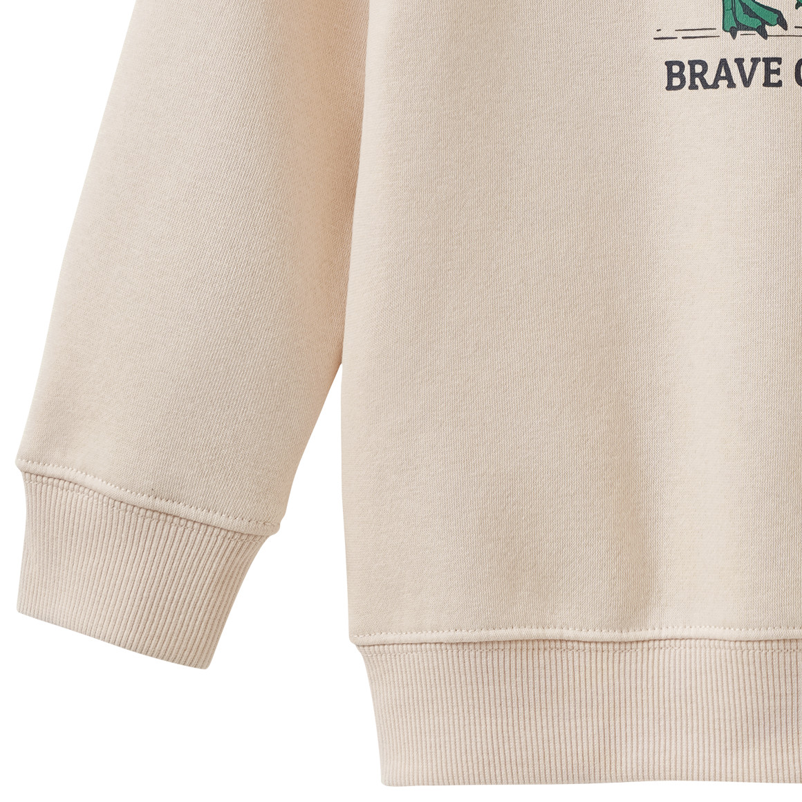 Jungen Sweatshirt mit Dino-Print