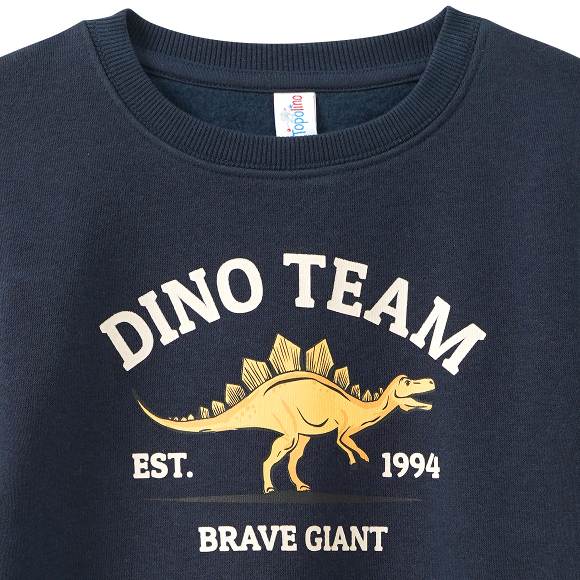 Jungen Sweatshirt mit Dino-Print