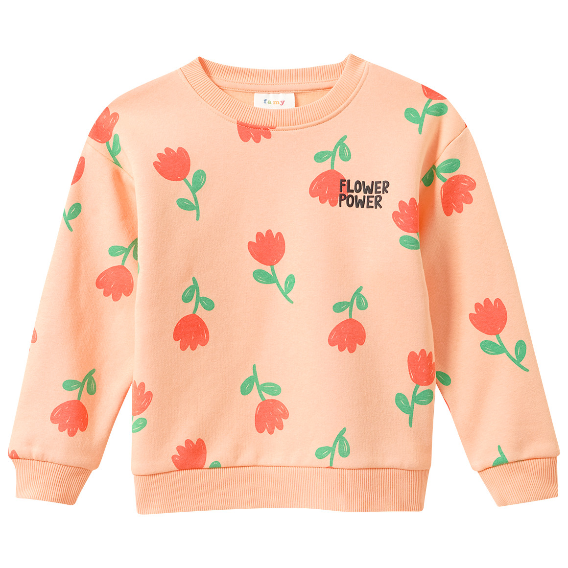 Mädchen Sweatshirt mit Print