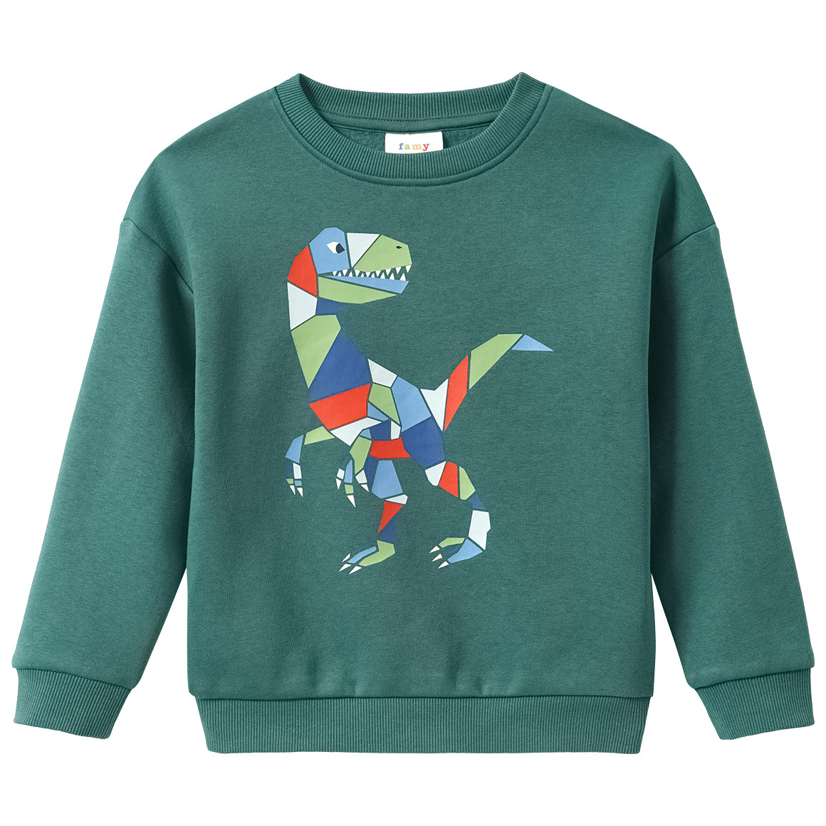 Jungen Sweatshirt mit Print