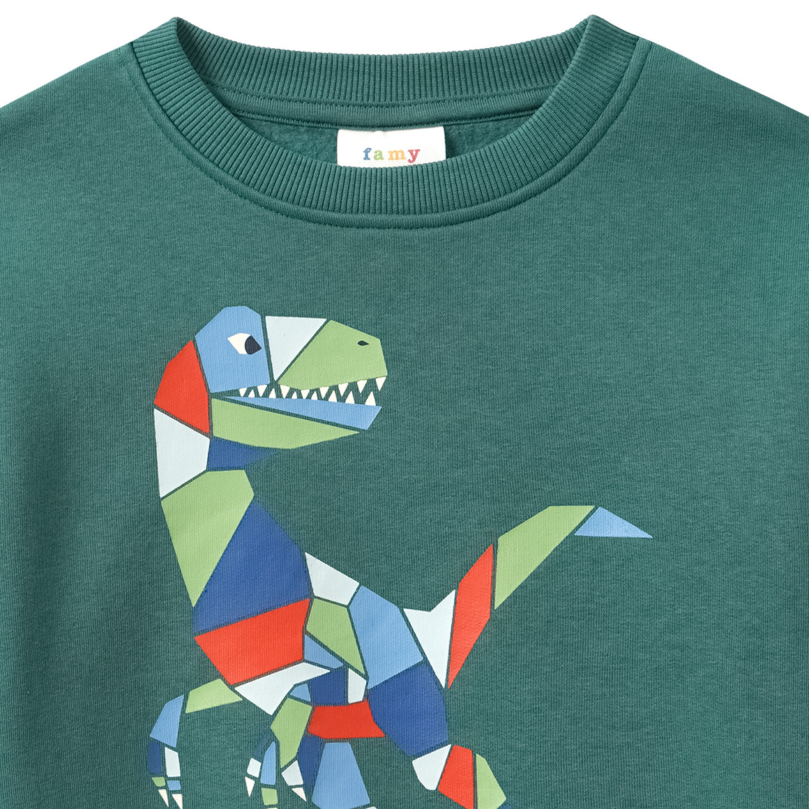 Jungen Sweatshirt mit Print