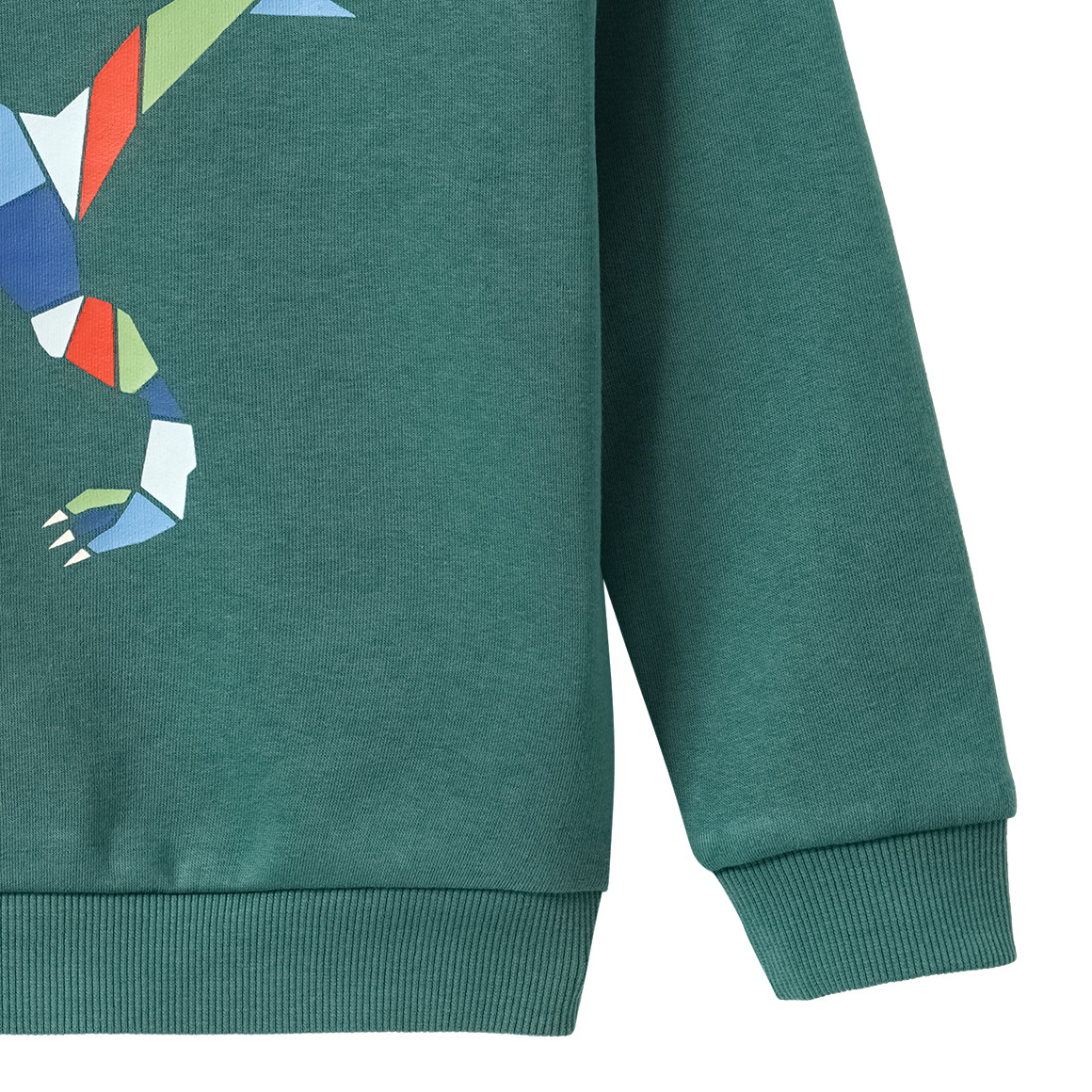 Jungen Sweatshirt mit Print
