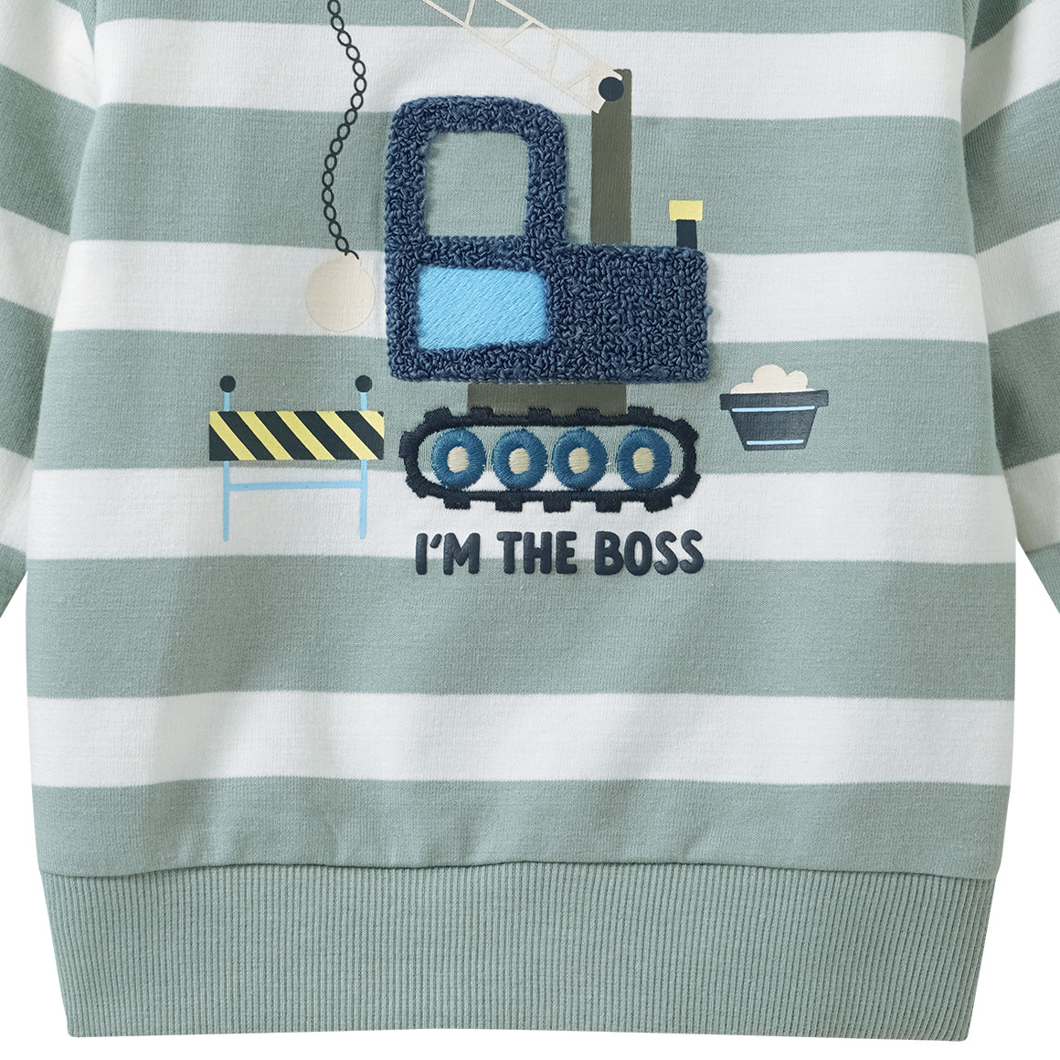 Baby Sweatshirt mit Applikation