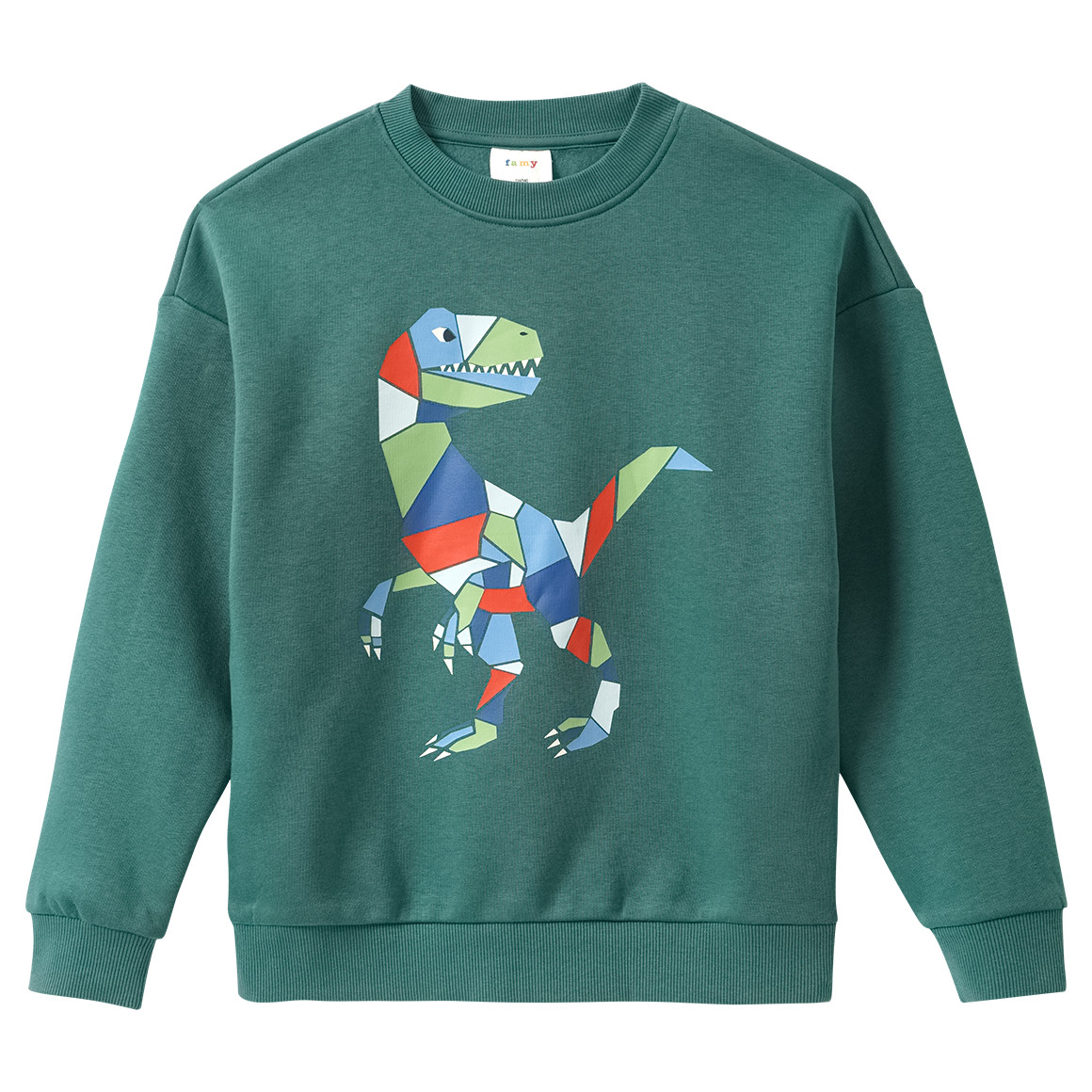 Jungen Sweatshirt mit Print