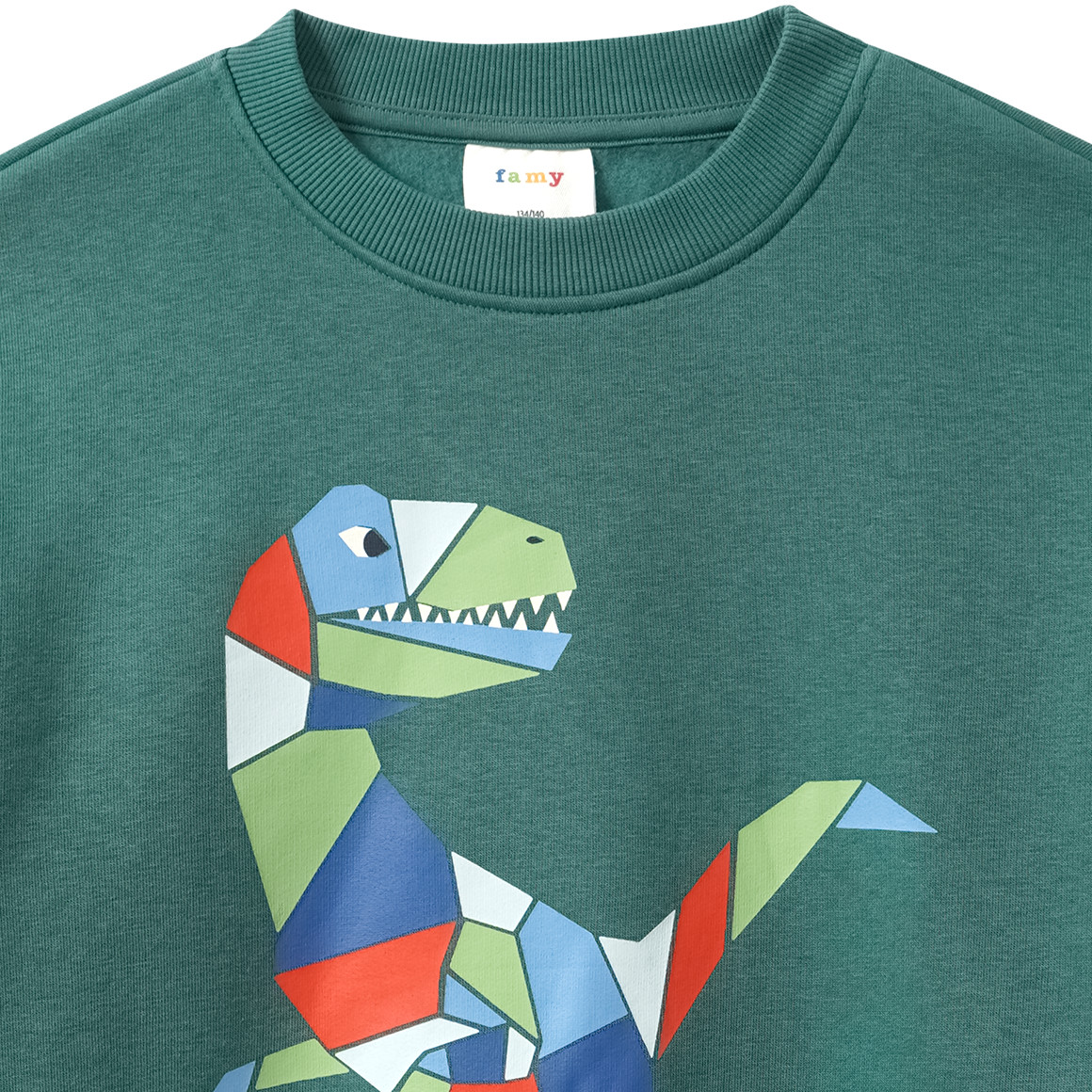 Jungen Sweatshirt mit Print