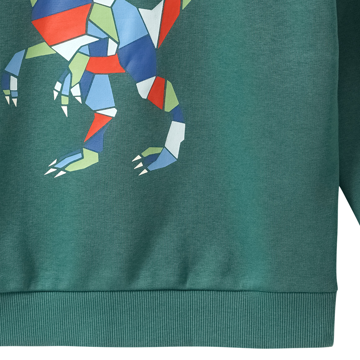 Jungen Sweatshirt mit Print