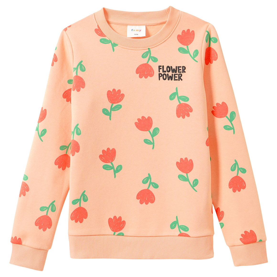 Mädchen Sweatshirt mit Print