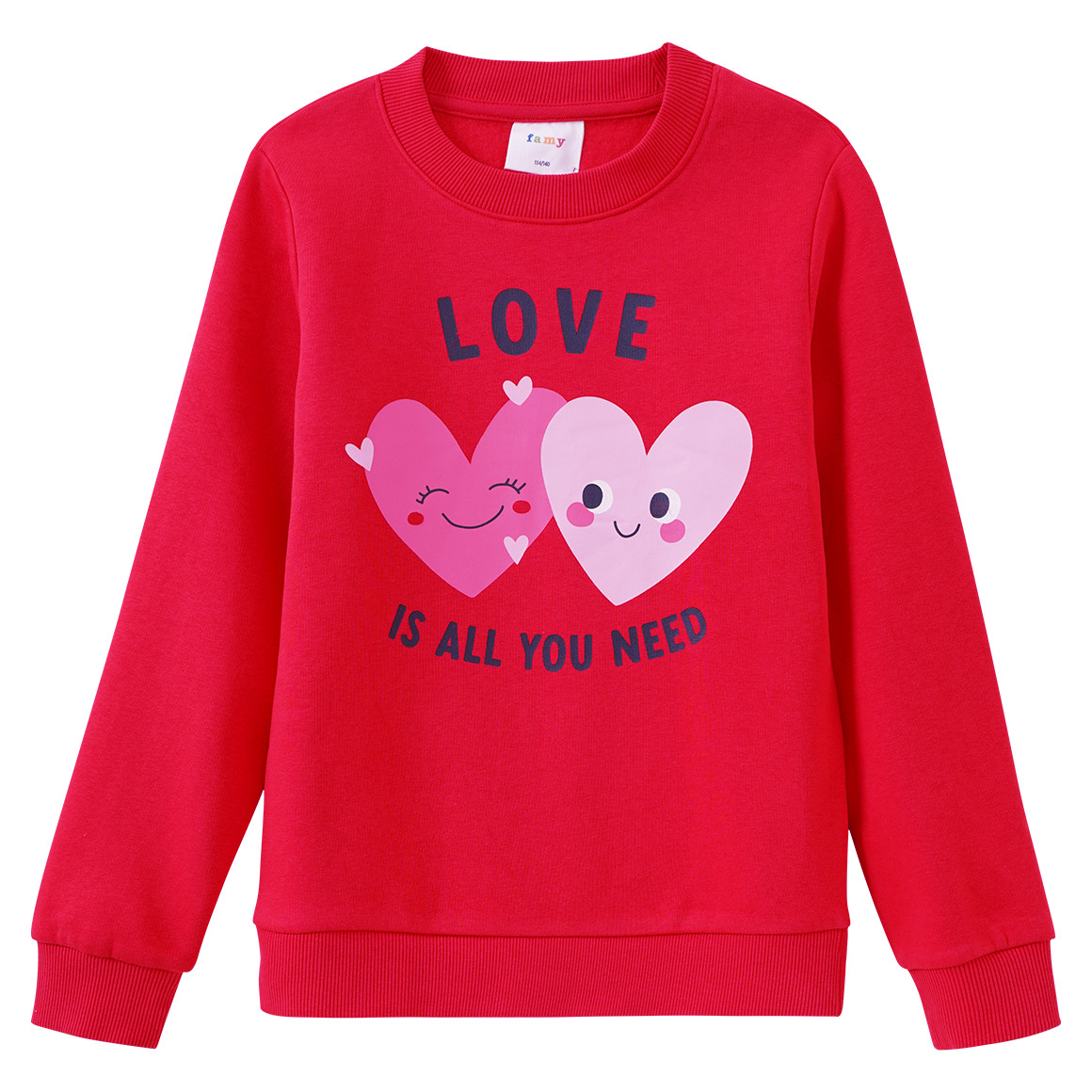 Mädchen Sweatshirt mit Print