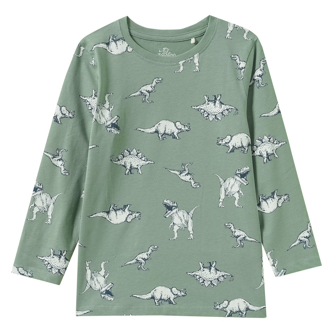 Jungen Schlafanzug mit Dino-Print