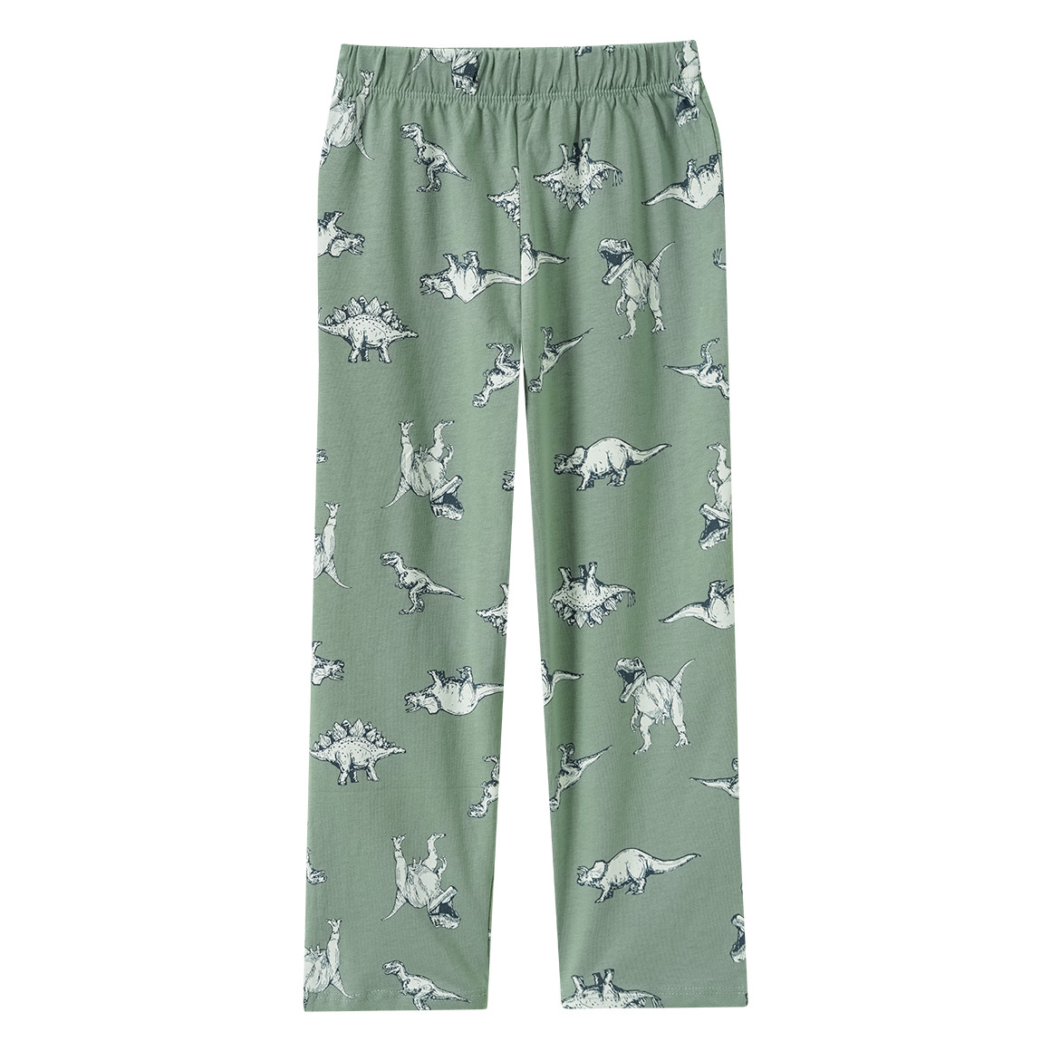 Jungen Schlafanzug mit Dino-Print