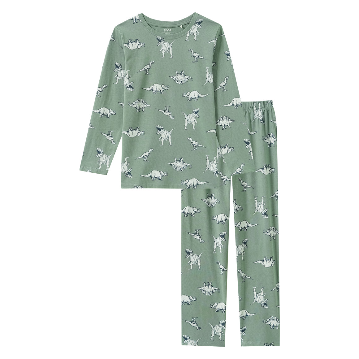 Jungen Schlafanzug mit Dino-Print