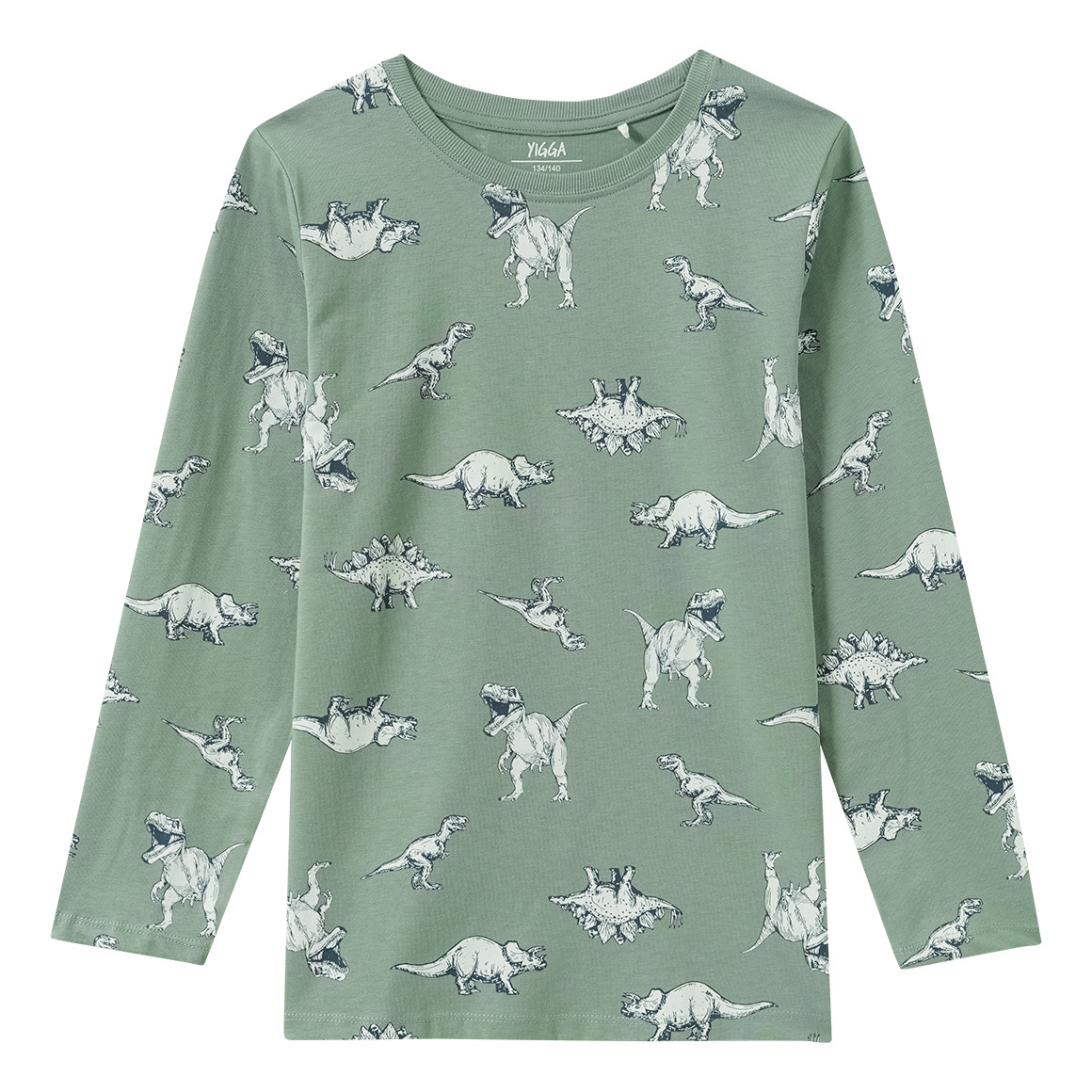 Jungen Schlafanzug mit Dino-Print