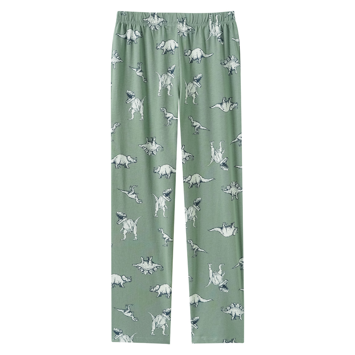 Jungen Schlafanzug mit Dino-Print
