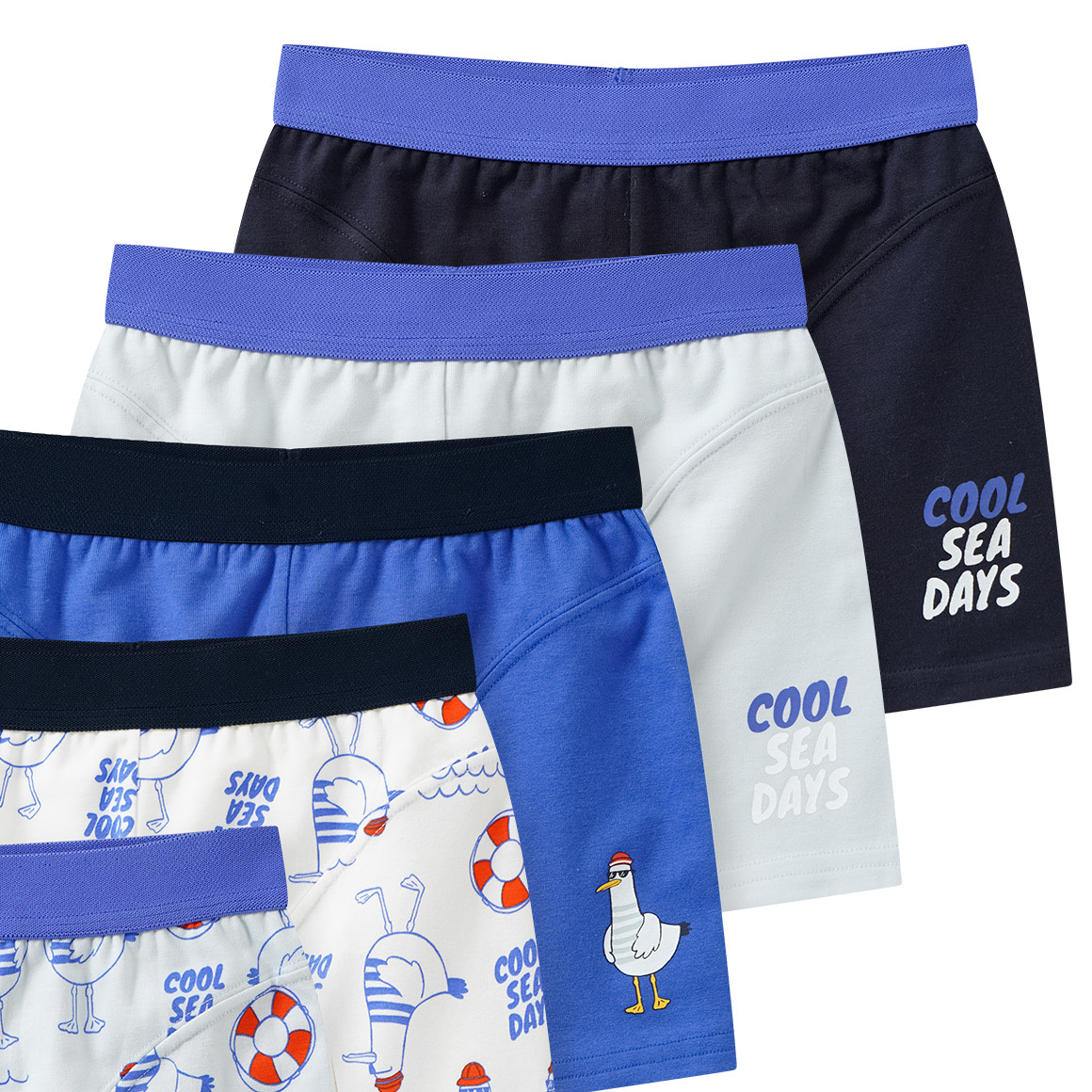 5 Jungen Boxer im Set