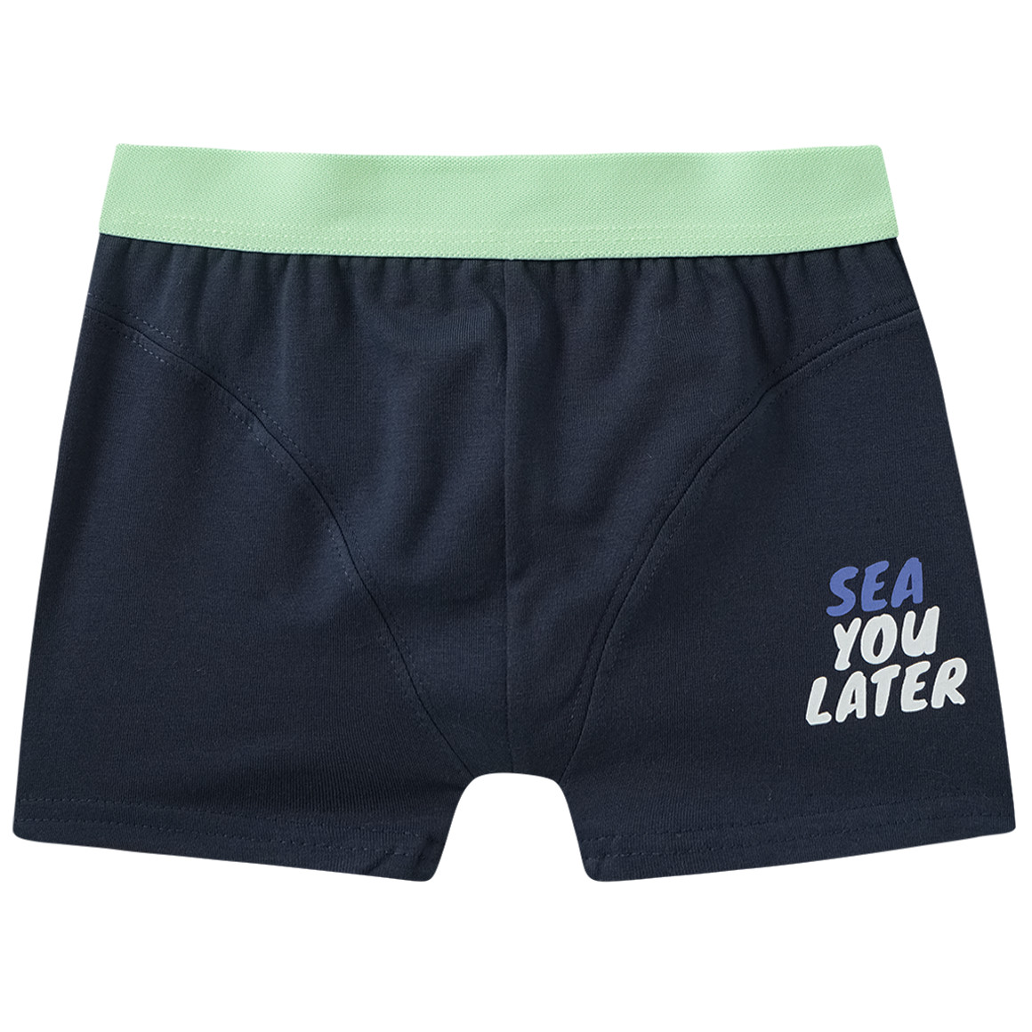 5 Jungen Boxer im Set