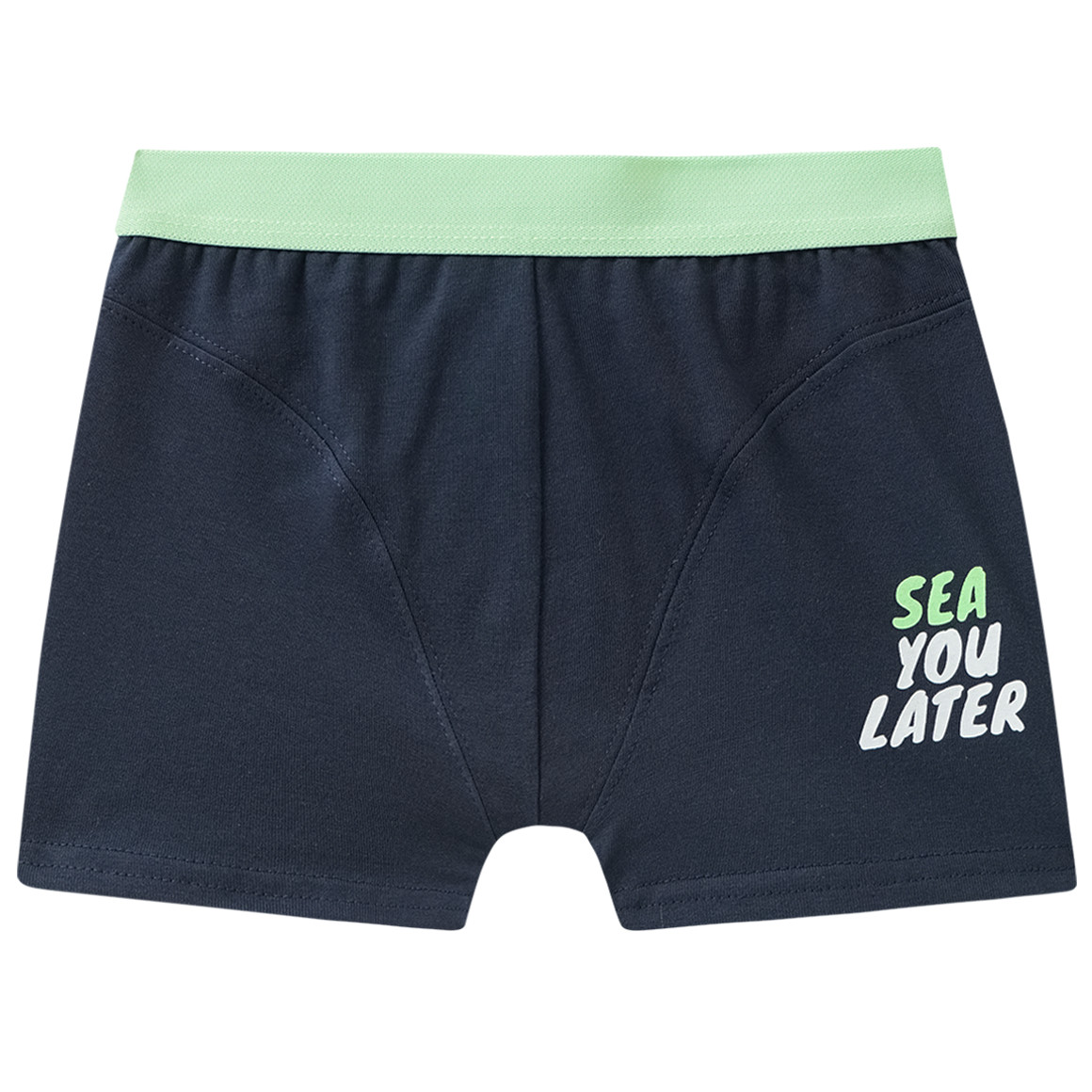 5 Jungen Boxer im Set