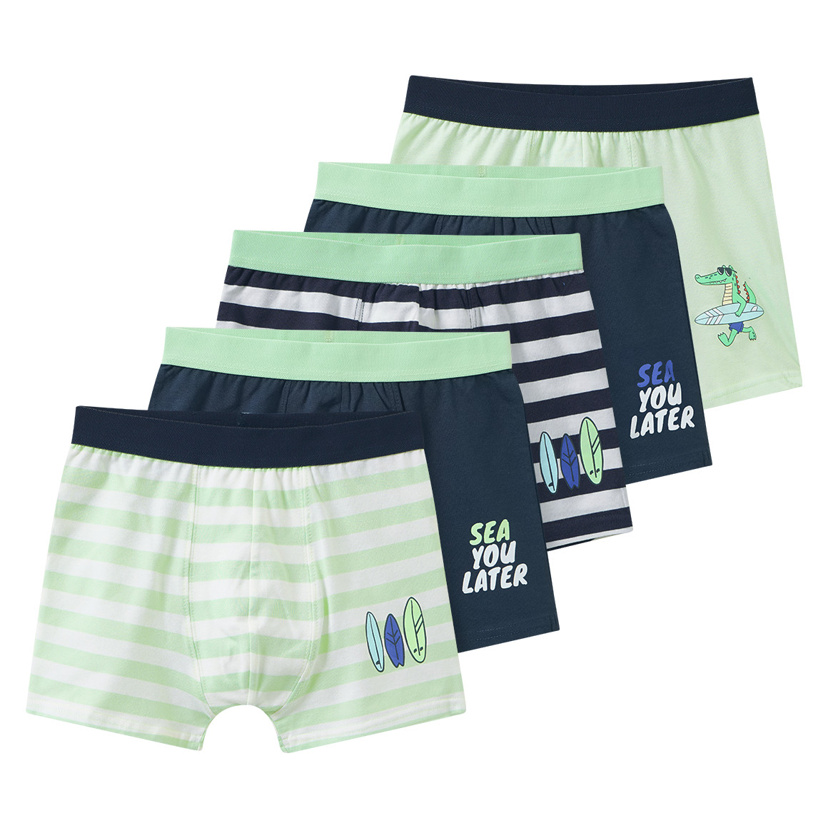 5 Jungen Boxer im Set
