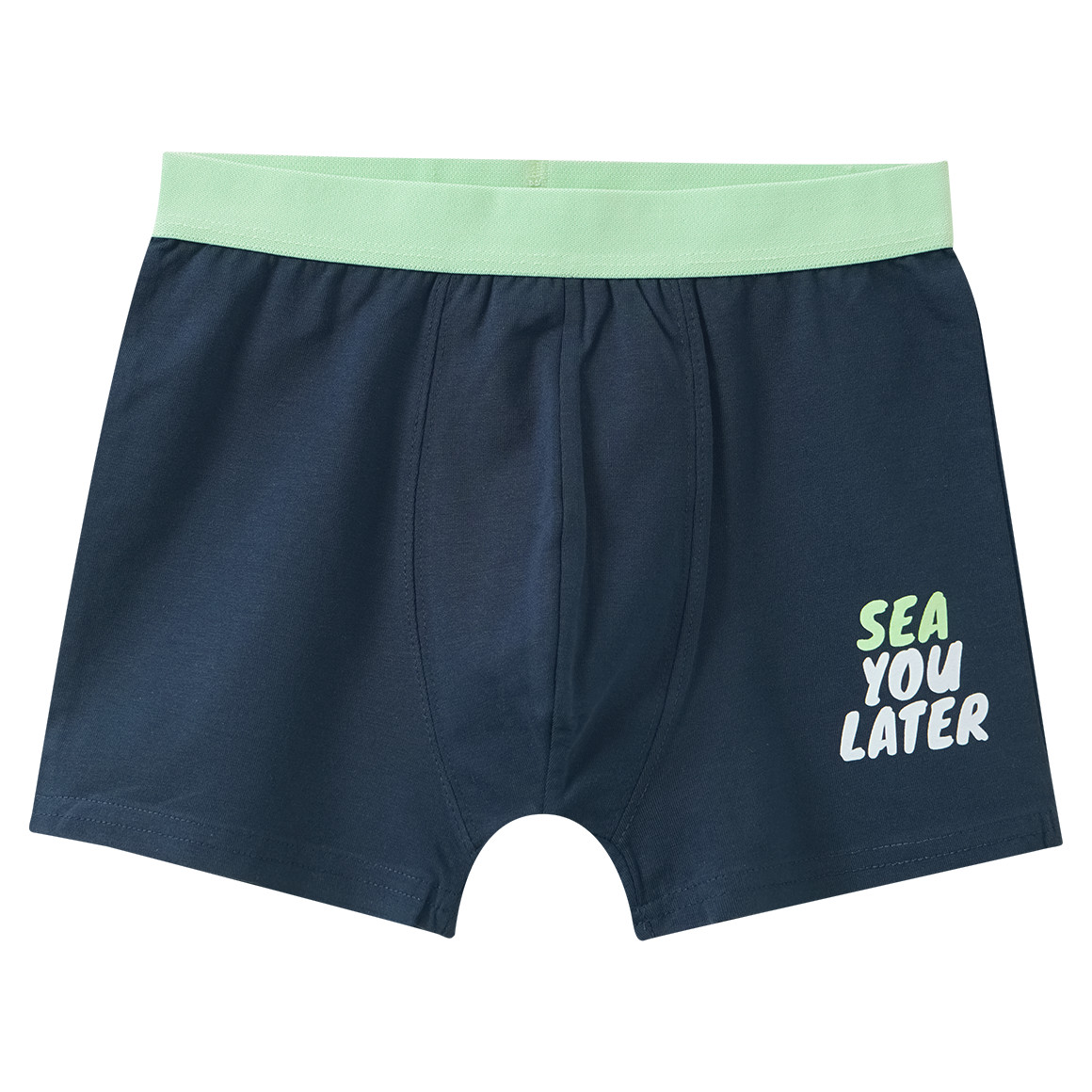 5 Jungen Boxer im Set