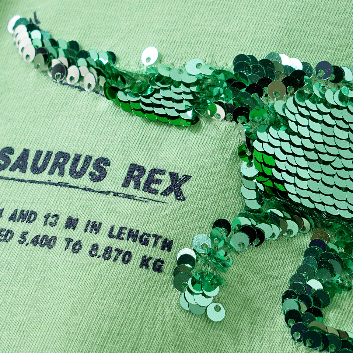 Jungen T-Shirt mit Wendepailletten