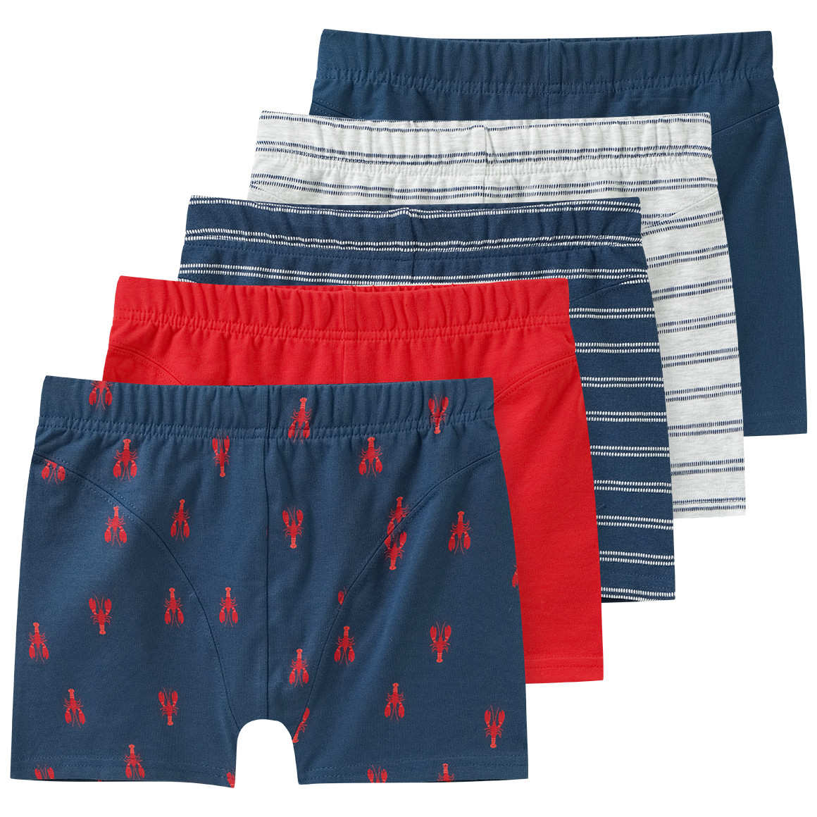 5 Jungen Boxer im Set