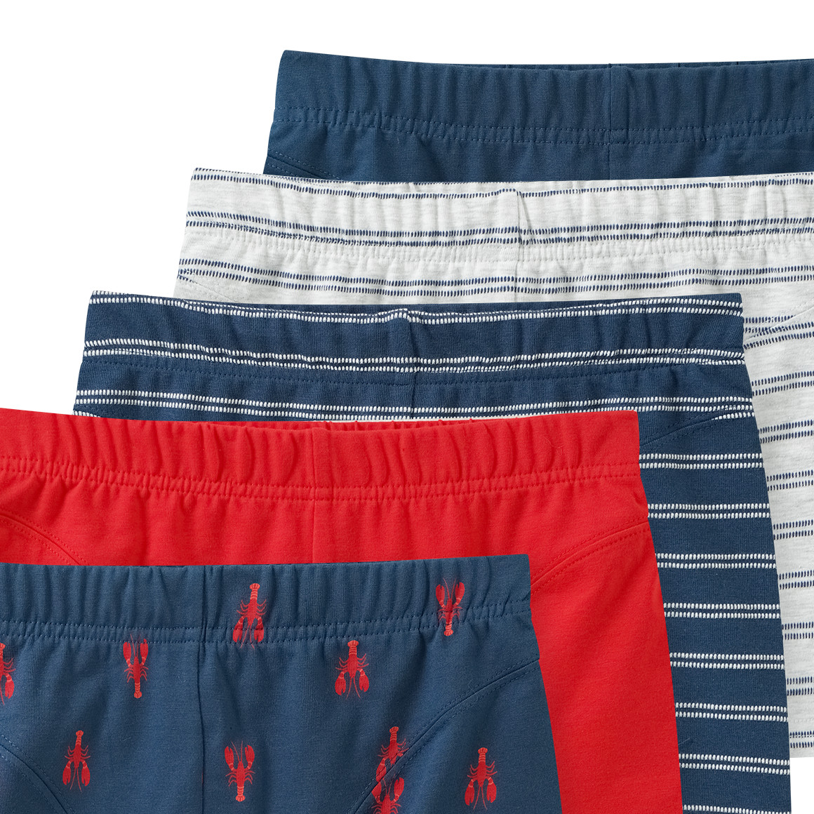 5 Jungen Boxer im Set