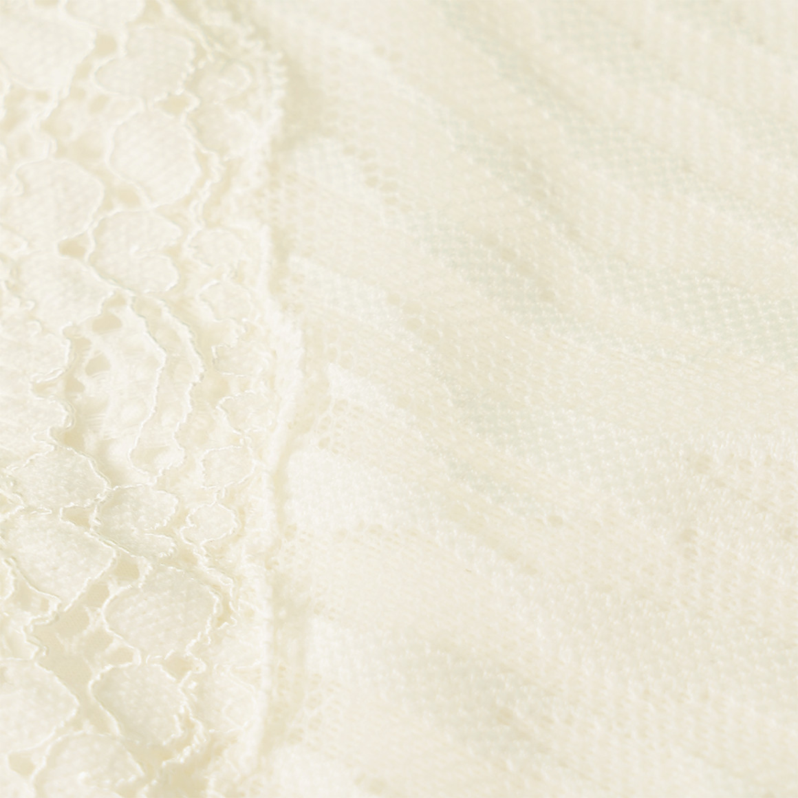 Damen Slip mit Spitze