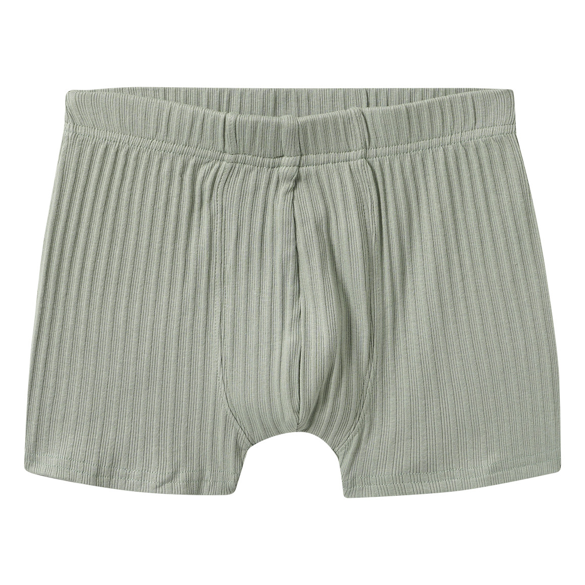 3 Jungen Boxer mit Dino-Motiven