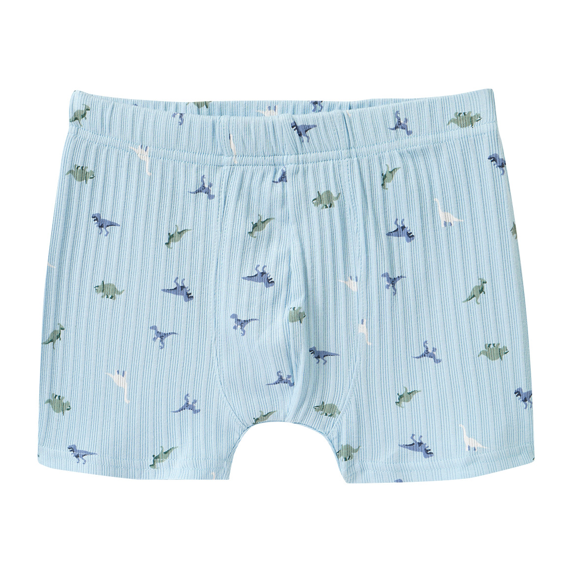 3 Jungen Boxer mit Dino-Motiven