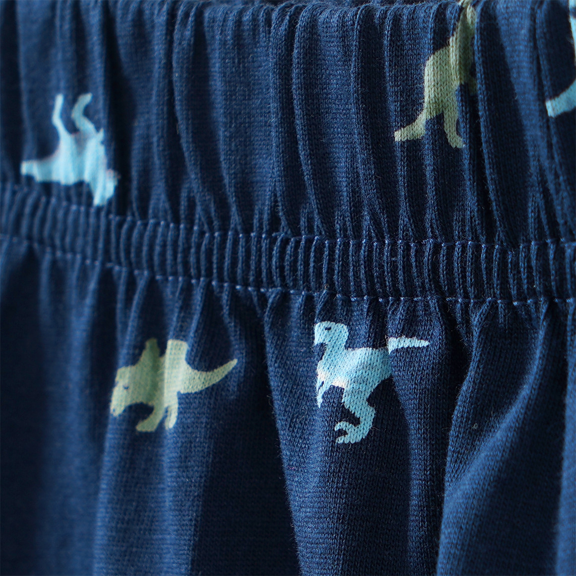 Jungen Shorty mit Dino-Motiven