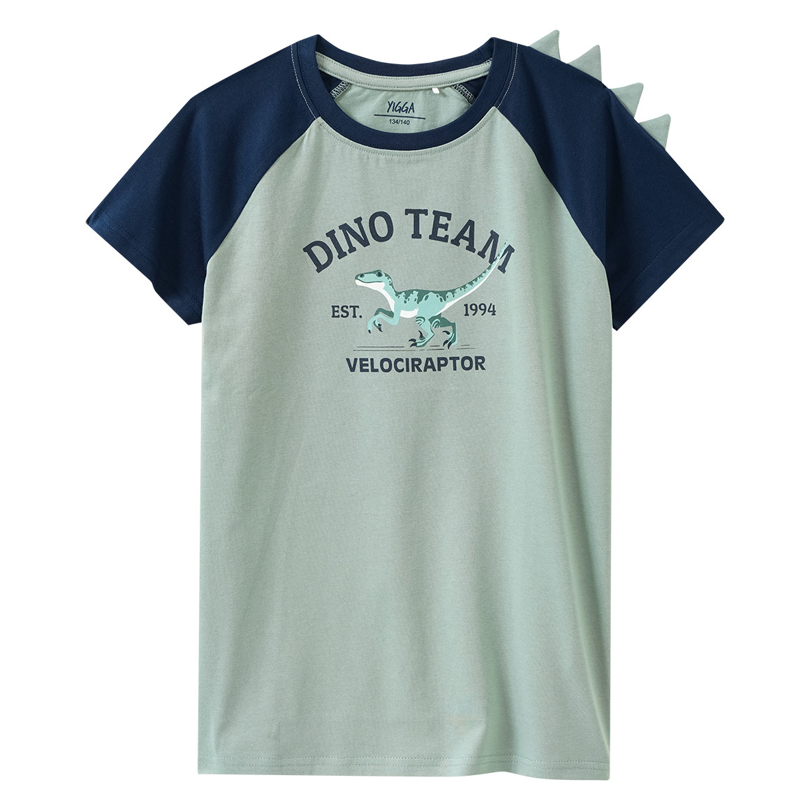 Jungen Shorty mit Dino-Motiven