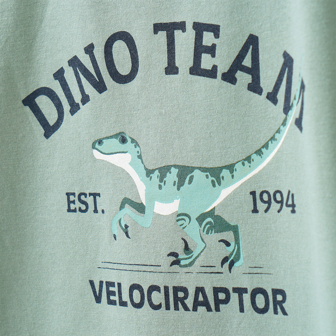 Jungen Shorty mit Dino-Motiven