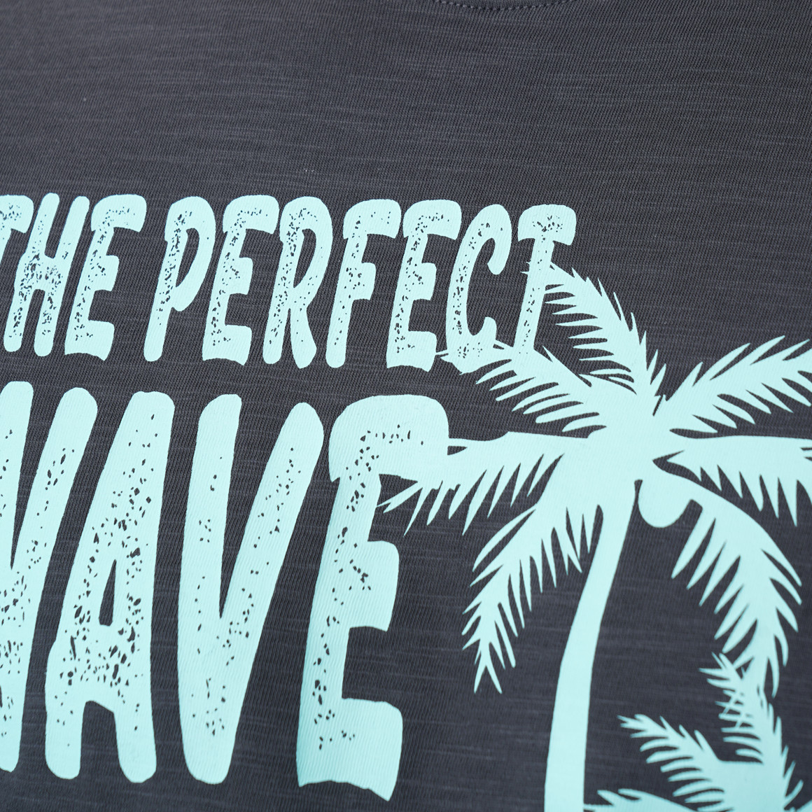 Heren T-shirt met print