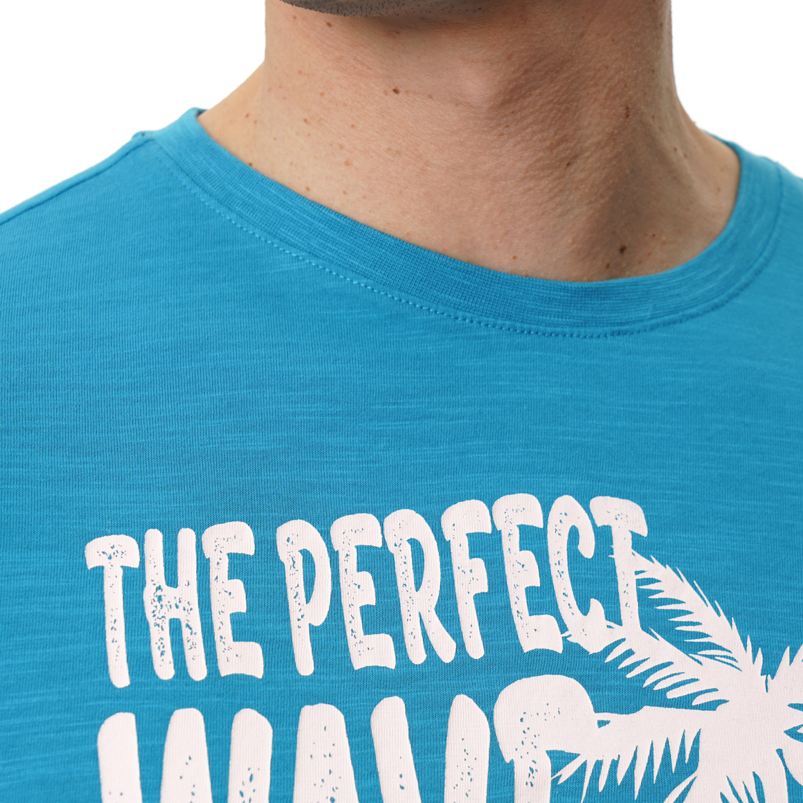 Heren T-shirt met print